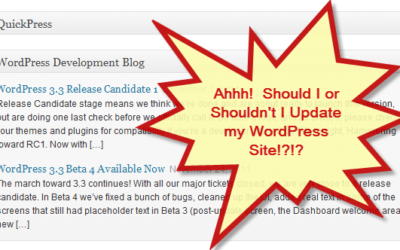 Should I Update to the New WordPress?