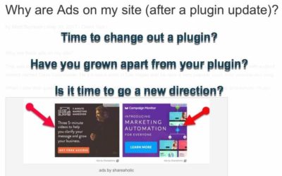 Why are Ads on my site (after a plugin update)?