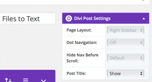 Hide Individual Post Title on Divi Theme