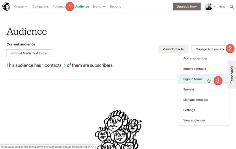 awesome mails pro use with mailchimp